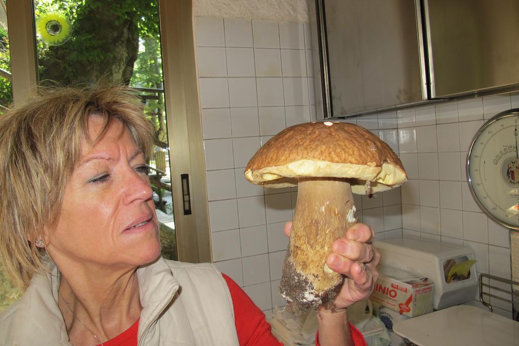 Albergo Ristorante Montecucco Da Tobia Sigillo Екстер'єр фото