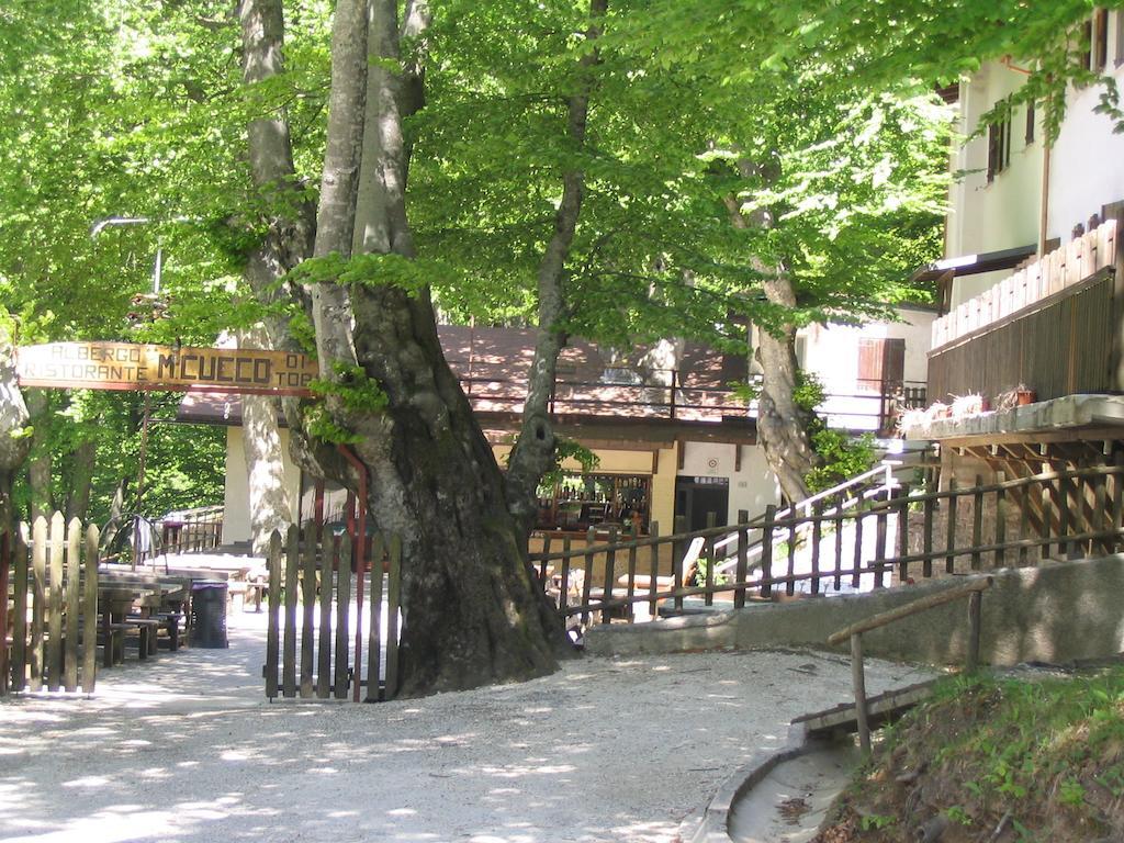 Albergo Ristorante Montecucco Da Tobia Sigillo Екстер'єр фото